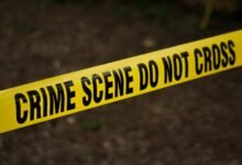 fraud hotline contact numbers