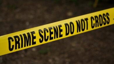 fraud hotline investigation numbers