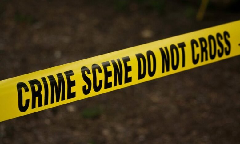 fraud hotline investigation numbers